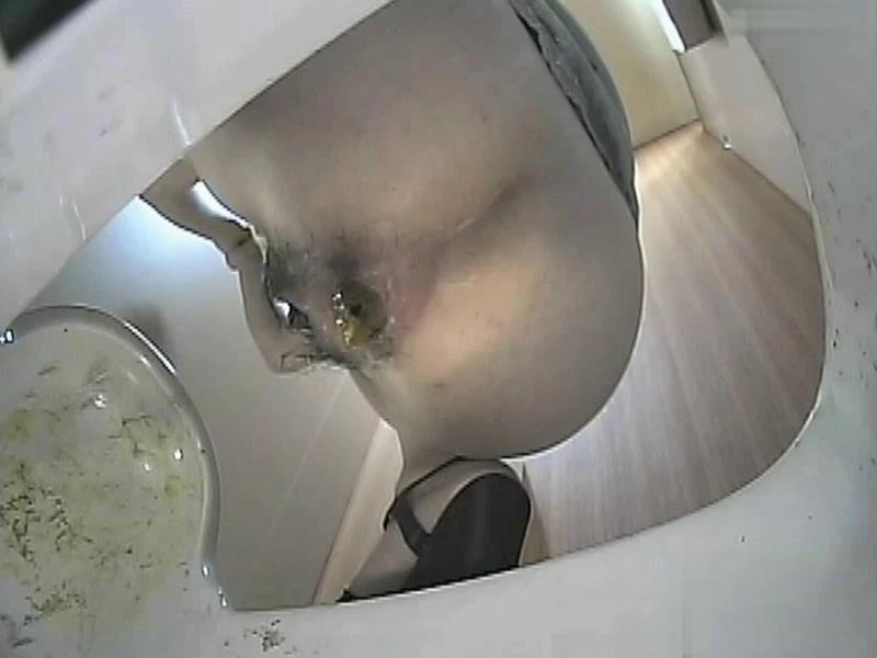 [BFJP-93] Japanese toilet voyeur. Bottom view excretion Uncensored SD [2024]