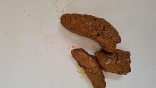 9th poo., ScatKings.com Scat Porn 4 ScatKings.com Scat Porn