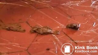 Shit everywhere, ScatKings.com Scat Porn 17 ScatKings.com Scat Porn