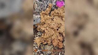 Soft shit at music festival, ScatKings.com Scat Porn 6 ScatKings.com Scat Porn