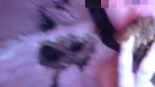 Taste it, swallow, and cum 6.0, ScatKings.com Scat Porn 4 ScatKings.com Scat Porn