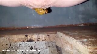 girl is pooping on outdoor toilet, ScatKings.com Scat Porn 9 ScatKings.com Scat Porn